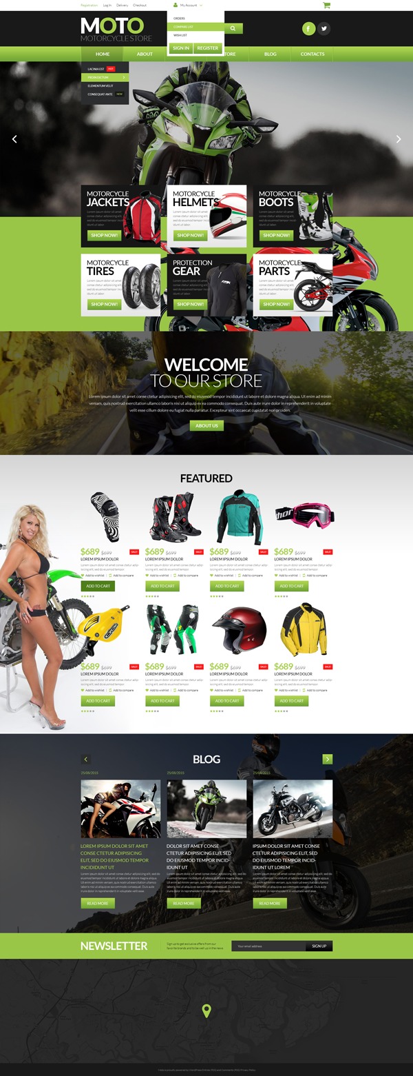 Theme WordPress theme52675