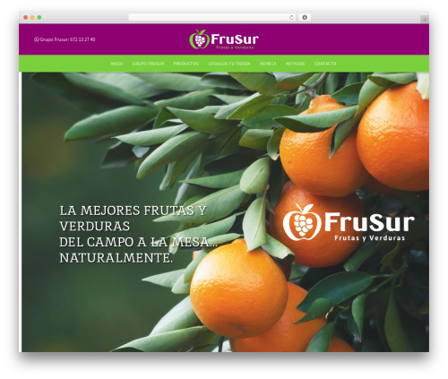 WP Multi Store Locator (wp-multi-store-locator) free WordPress plugin - grupofrusur.com WP Multi Store Locator (wp-multi-store-locator) free WordPress plugin - grupofrusur.com