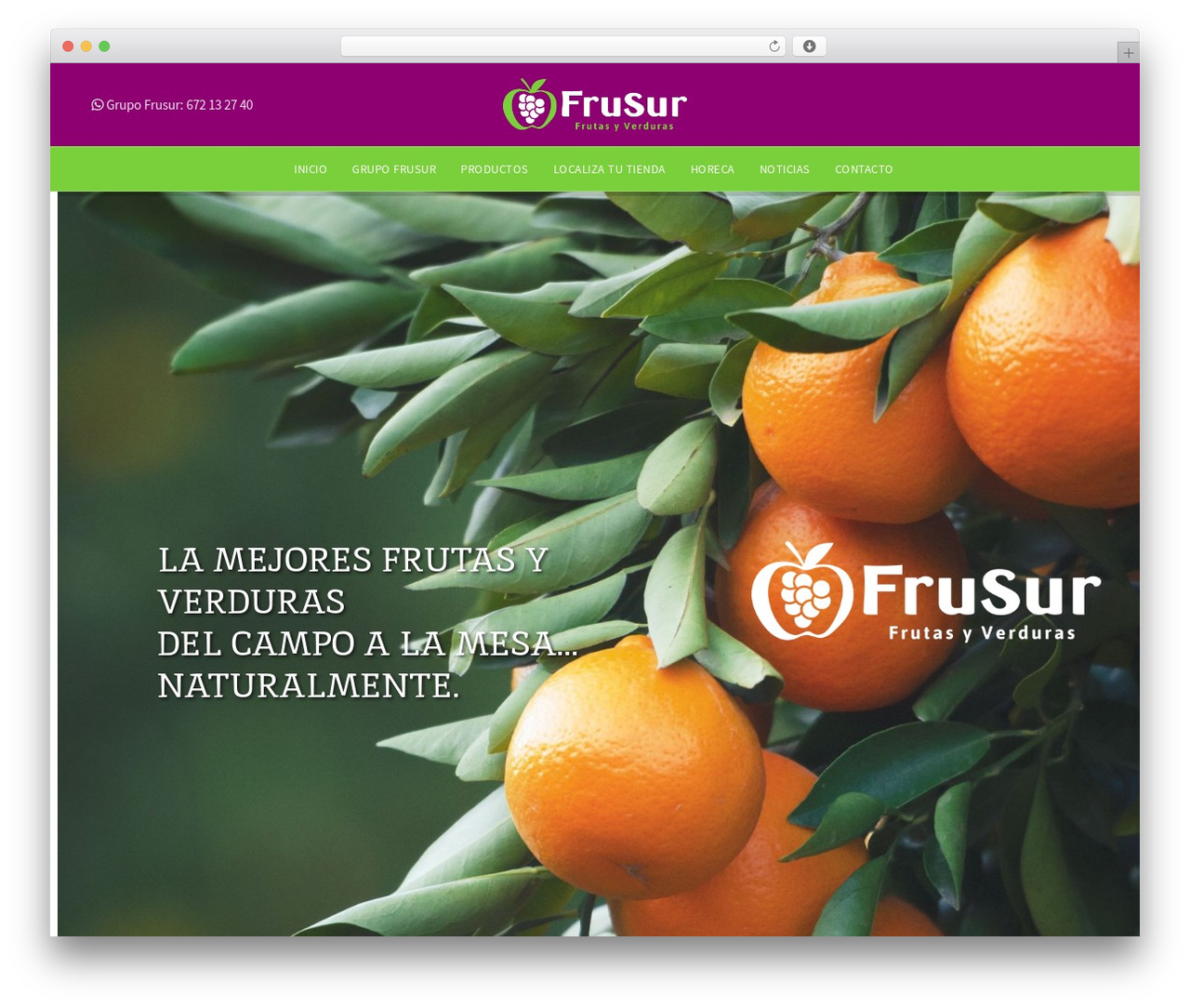 Theme WordPress Basel - grupofrusur.com