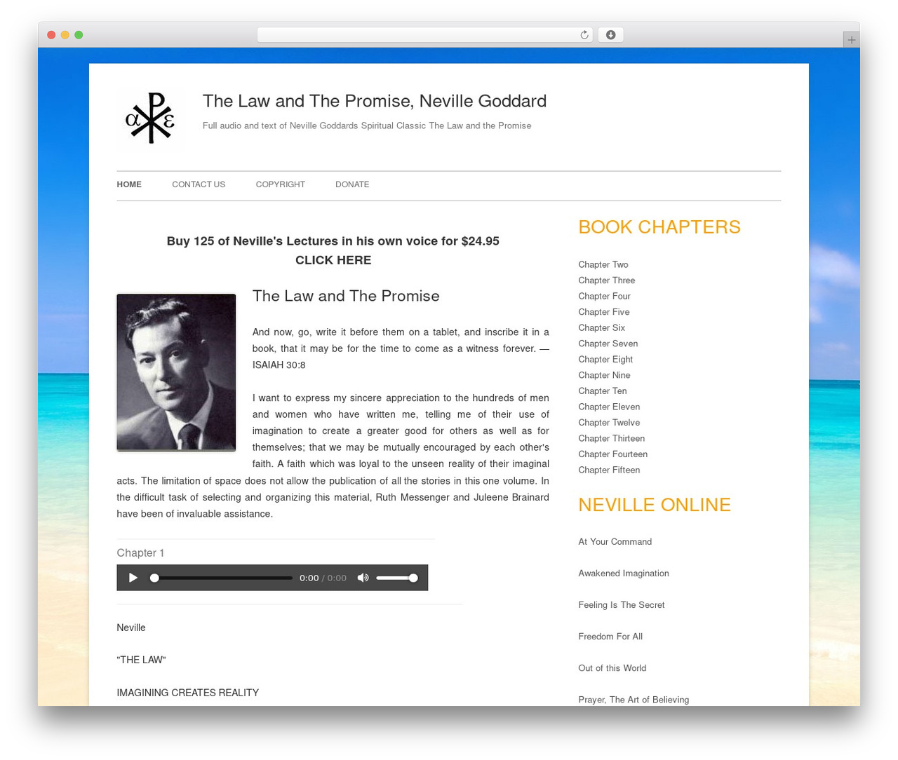 Tiny Forge WordPress theme - thelawandthepromise.com