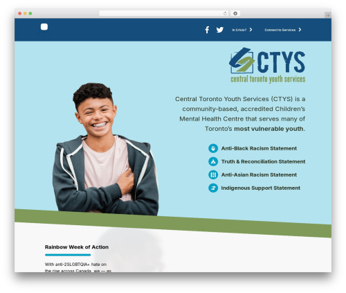 WordPress theme FP - ctys.org