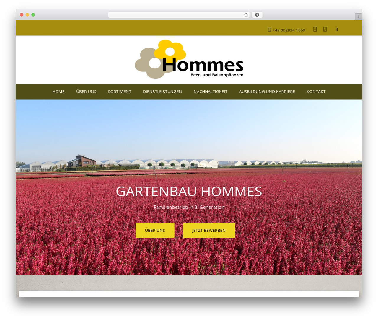 WordPress theme Optimizer PRO - gartenbau-hommes.de WordPress theme Optimizer PRO - gartenbau-hommes.de
