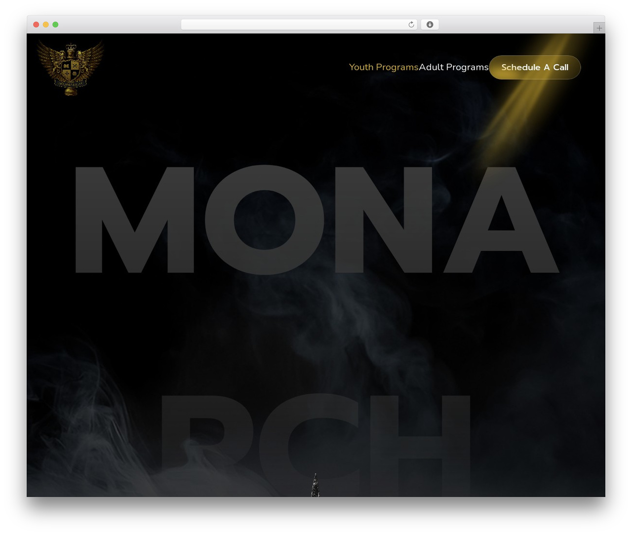 WP theme Divi - eliteinstitution.com