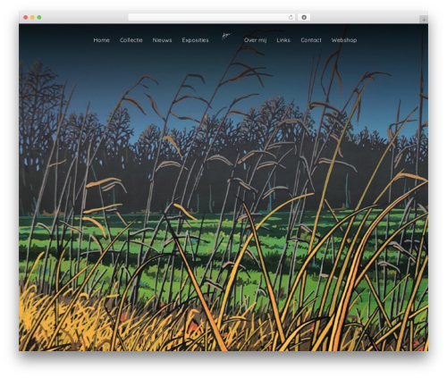 Imaginem blocks ii WordPress plugin - harmvisserart.nl