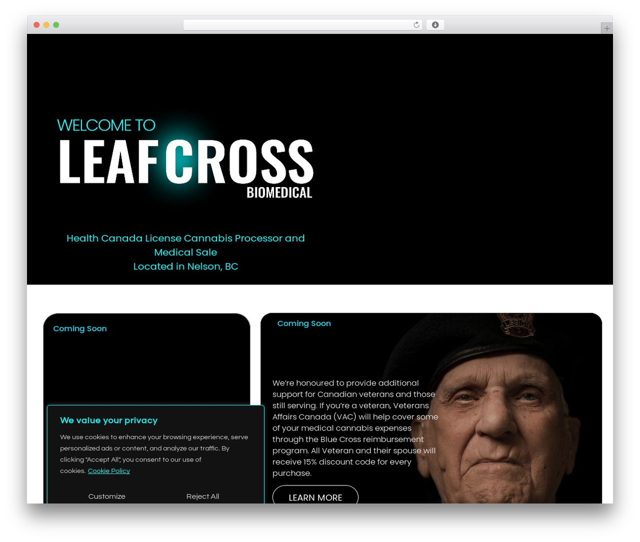 Hello Elementor WordPress theme - leafcross.com Hello Elementor WordPress theme - leafcross.com