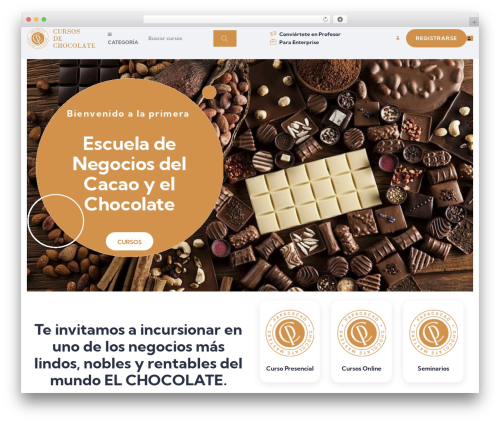 Masterstudy elementor widgets WordPress plugin - cursosdechocolate.com