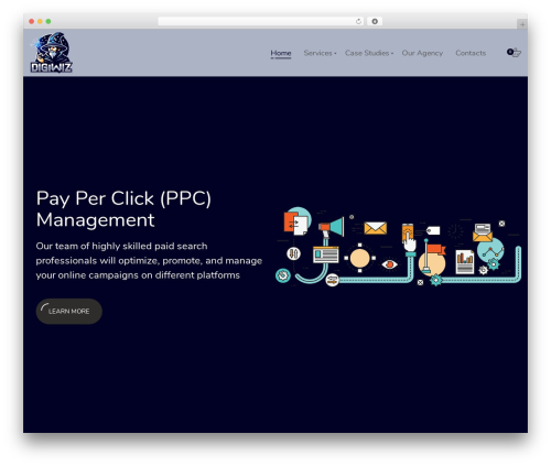 Portfolio kit WordPress plugin - diziwiz.com