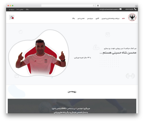 Studiare core WordPress plugin - mohsenshahosseini.ir