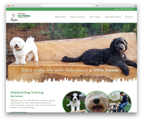 WordPress theme Beaver Builder Theme - petagogydogtrainingoakland.com