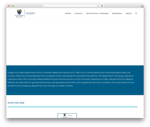 Advanced Page Visit Counter – Advanced WordPress Visit Counter (advanced-page-visit-counter) free WordPress plugin - umsurgery.my