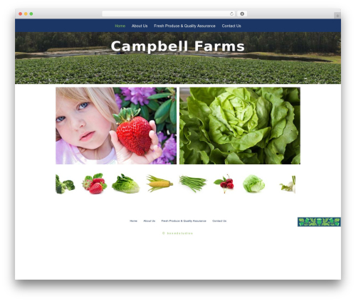 Image horizontal reel scroll slideshow (image-horizontal-reel-scroll-slideshow) free WordPress plugin - campbellfarming.com.au