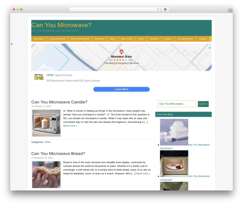 Catalyst food WordPress theme - canyoumicrowave.com