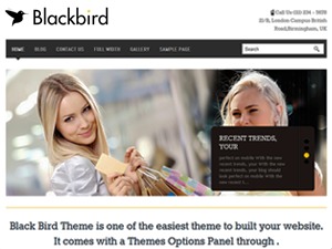 CM_Theme WordPress theme by Pietro Robertazzi