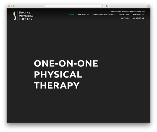 Divi top WordPress theme - sparksphysicaltherapy.com
