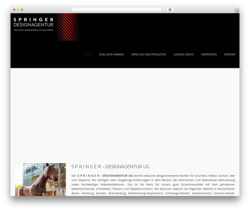 Lambda WordPress website theme - springer-designagentur.com