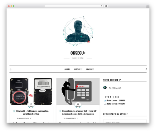 Show IP address (show-ip-address) free WordPress plugin - oksecu.com Show IP address (show-ip-address) free WordPress plugin - oksecu.com