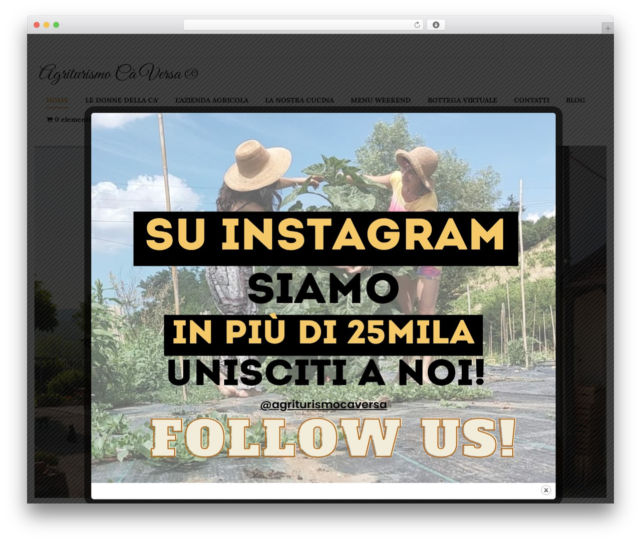 Theme WordPress Pronto - ca-versa.it