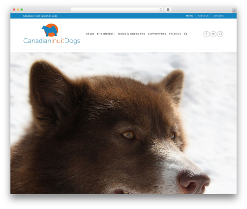 Slim Jetpack (slimjetpack) free WordPress plugin - canadianinuitdogs.com Slim Jetpack (slimjetpack) free WordPress plugin - canadianinuitdogs.com