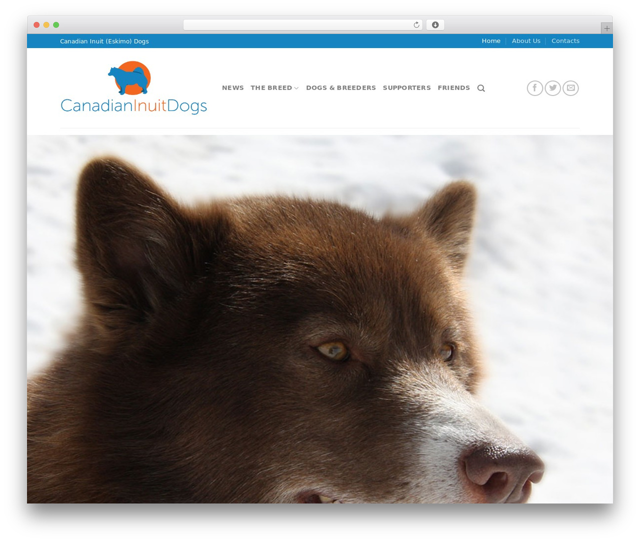 WordPress theme Flatsome - canadianinuitdogs.com WordPress theme Flatsome - canadianinuitdogs.com