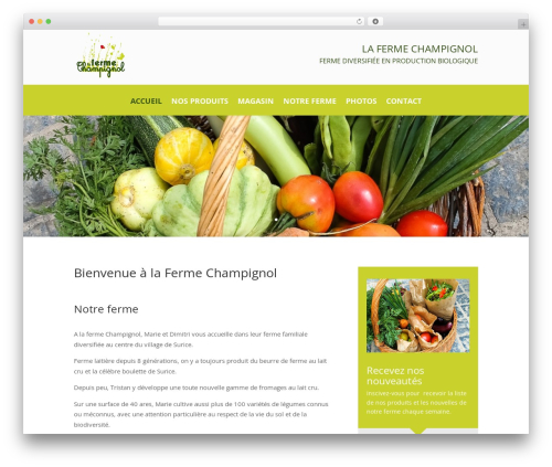 Divi WordPress theme - champignol.be