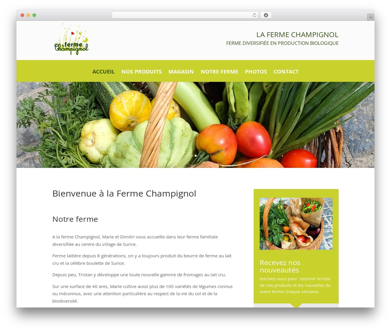 Divi WordPress theme - champignol.be Divi WordPress theme - champignol.be