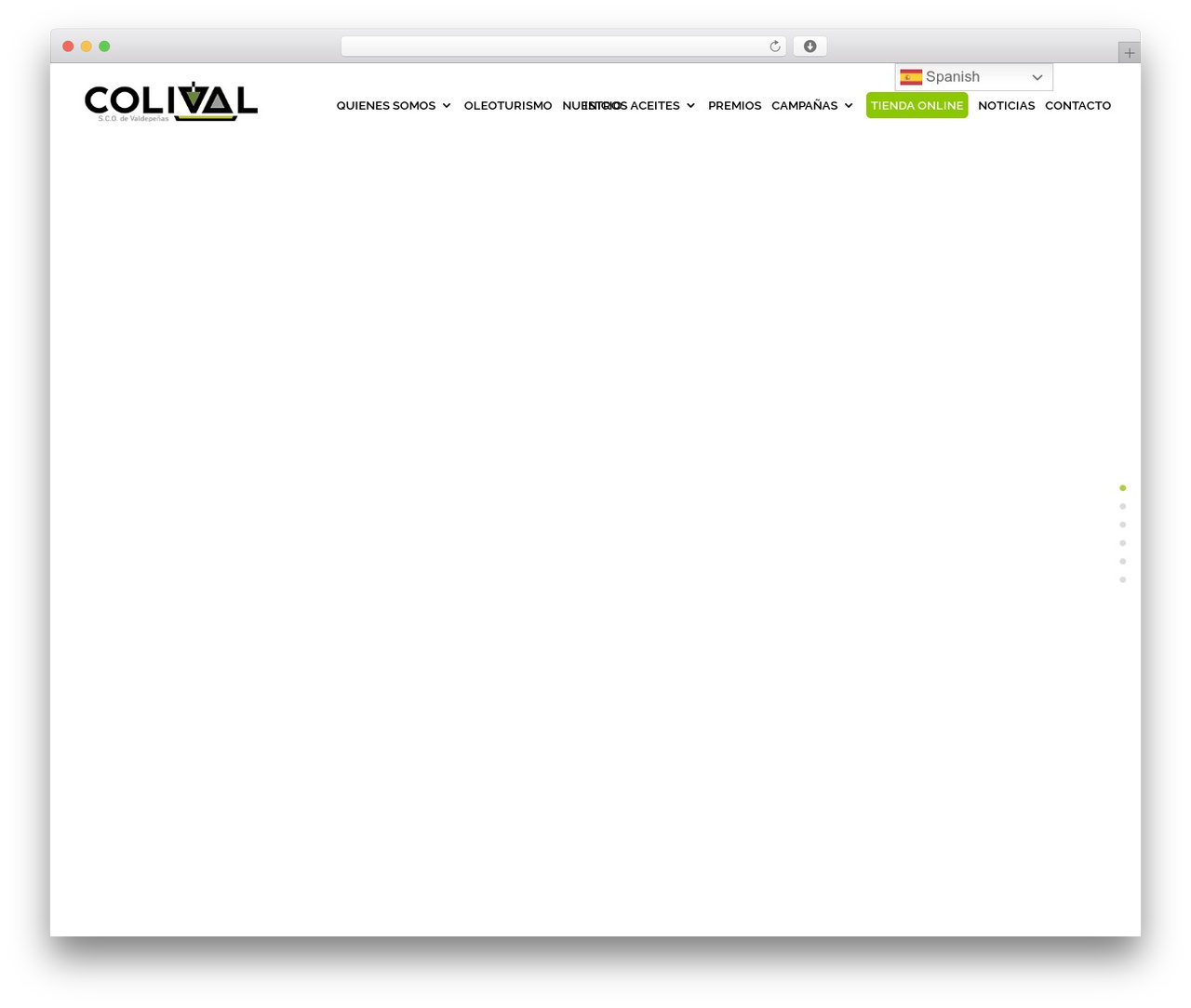 Divi WordPress theme - colival.com