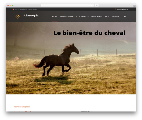 HappyRider WordPress theme - equizen-shiatsu.be