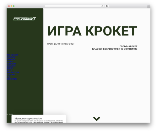 Bg RuTube Embed (bg-rutube-embed) free WordPress plugin - pro-croquet.ru