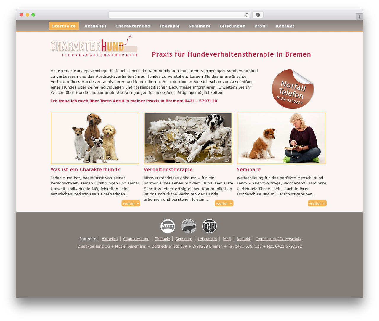 charakterhund.com theme WordPress - charakterhund.com charakterhund.com theme WordPress - charakterhund.com