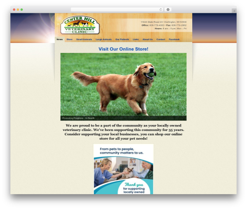 DD Custom WordPress theme - centerhillvet.com