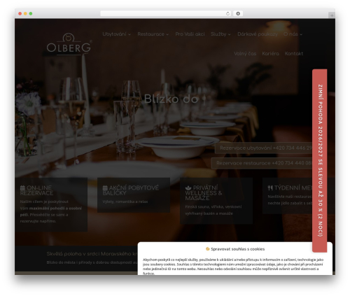 Divi best hotel WordPress theme - olberg.cz