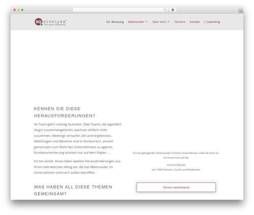 Divi WordPress theme - so-beratung.de