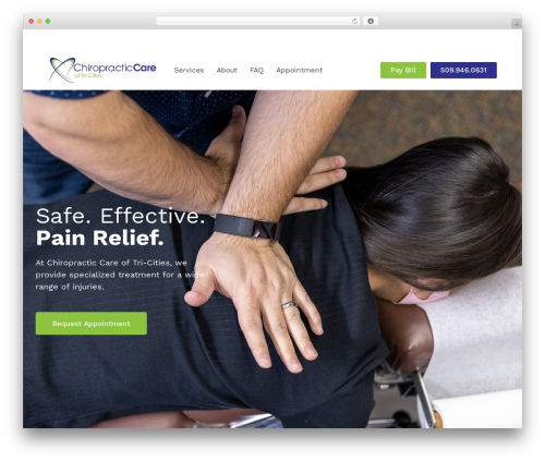 WP Stripe (wp-stripe) free WordPress plugin - chirocaretc.com WP Stripe (wp-stripe) free WordPress plugin - chirocaretc.com