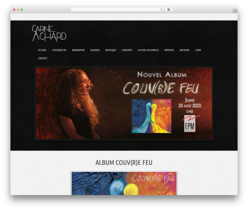Musicpro WordPress theme design - carine-achard.com