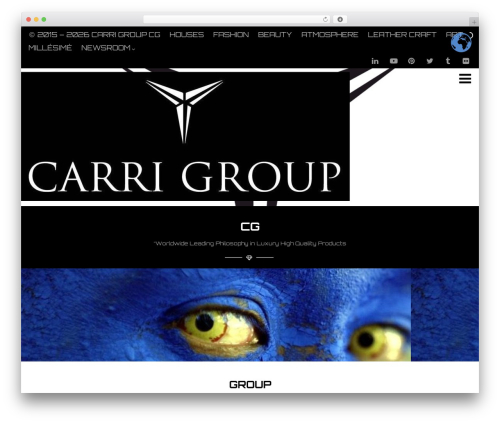 Optimizer PRO top WordPress theme - carrigroup.com