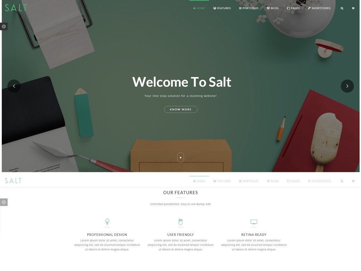 Saltwp Child theme WordPress by Qodearena