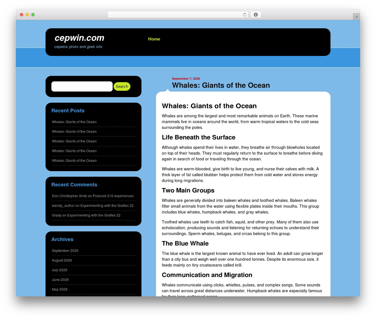 Selecta WordPress theme - cepwin.com Selecta WordPress theme - cepwin.com