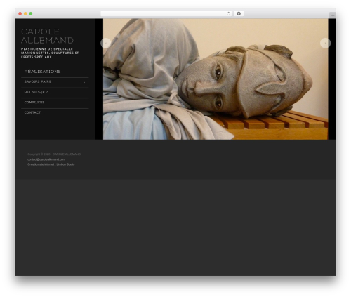 Theme WordPress Showcase - caroleallemand.com