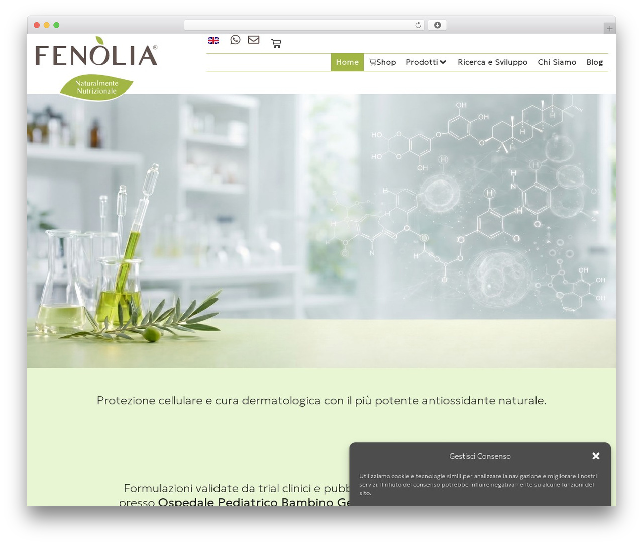 WordPress theme Hello Elementor - fenolia.it WordPress theme Hello Elementor - fenolia.it