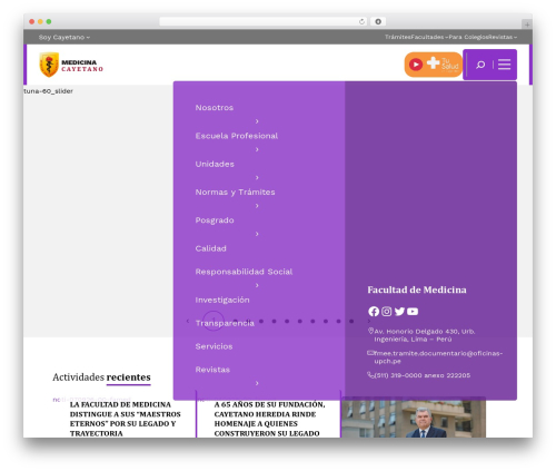 WordPress website theme UPCH Theme - medicina.cayetano.edu.pe