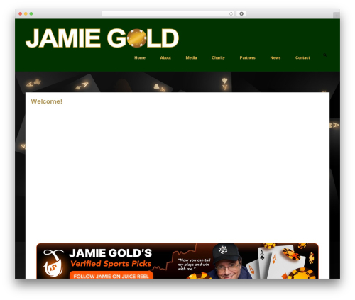 Business Capital company WordPress theme - jamiegold.com