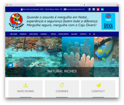 Contact Form 7 Polylang Module (cf7-polylang) free WordPress plugin - cajudivers.com Contact Form 7 Polylang Module (cf7-polylang) free WordPress plugin - cajudivers.com