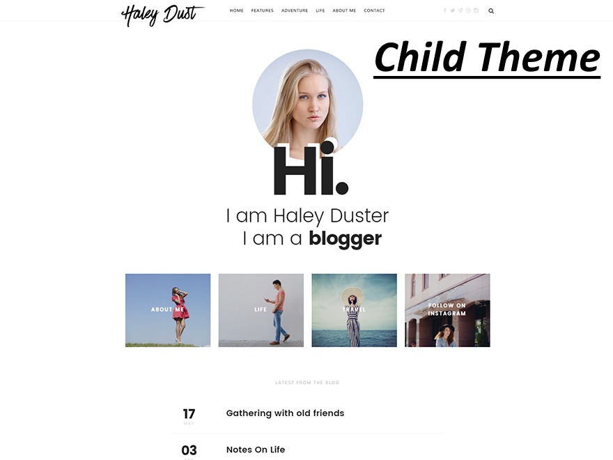 Impose Child WordPress theme