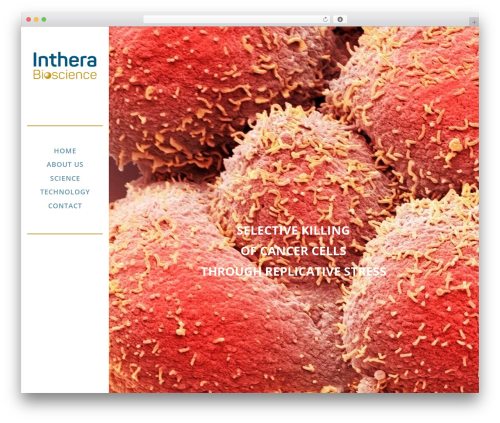 Soho WordPress theme - intherabio.com