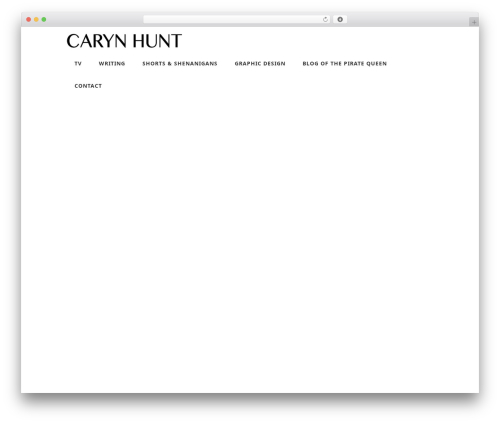 Theme WordPress Vid Responsive WordPress Theme - carynhunt.com