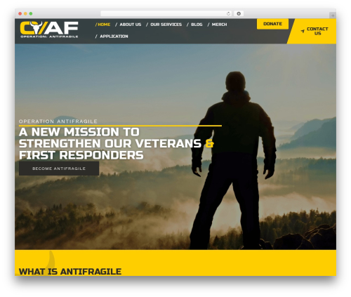 WordPress theme Hello Elementor - operationantifragile.com