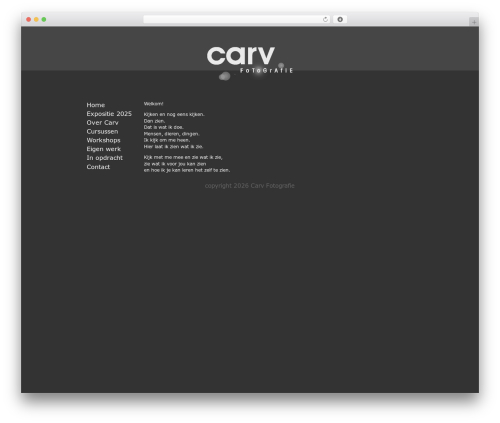 WordPress Theme Generator WordPress website theme - carv.nl