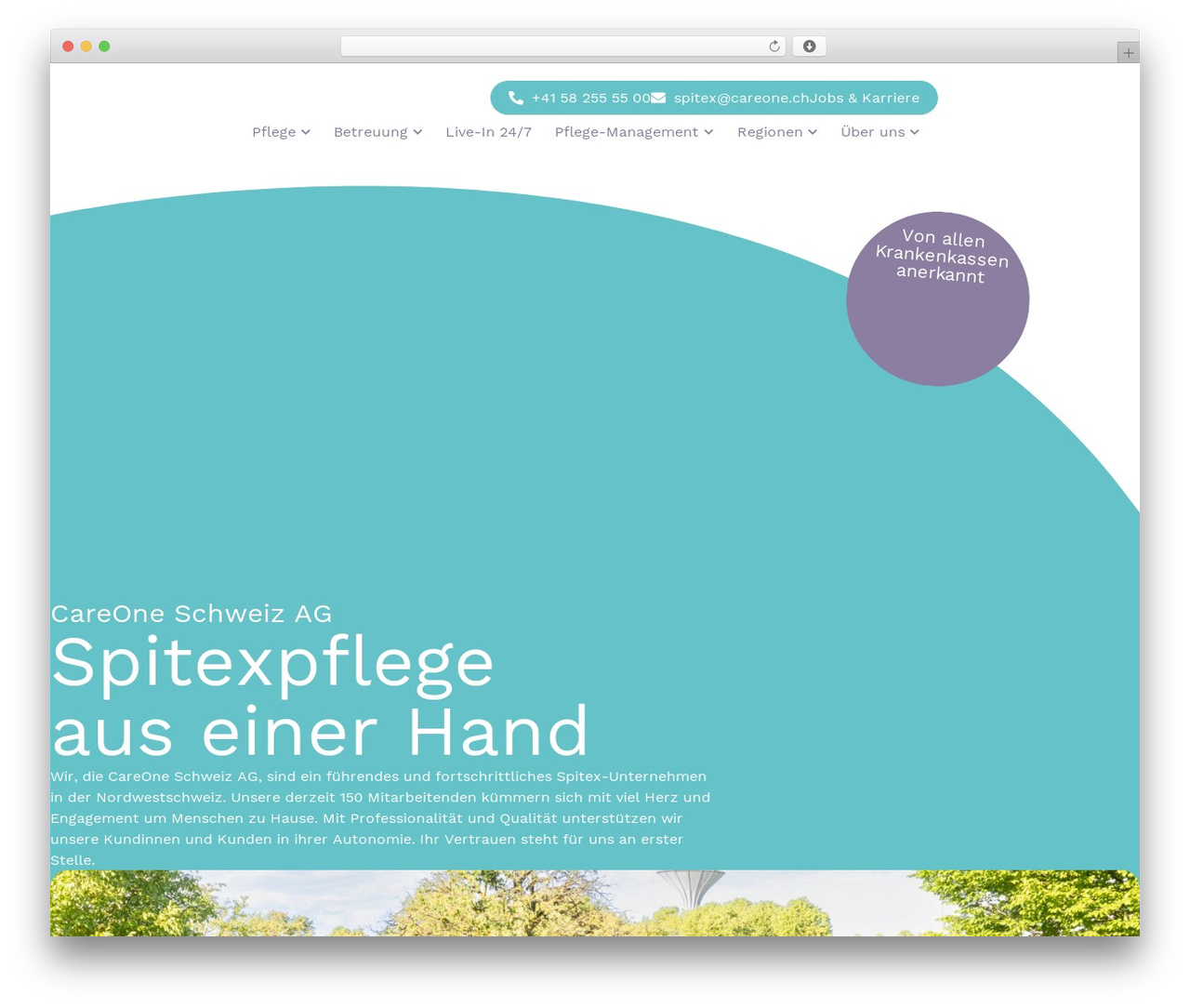 Hello Elementor WordPress theme design - careone.ch Hello Elementor WordPress theme design - careone.ch