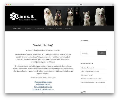 Hemingway WordPress page template - canis.lt