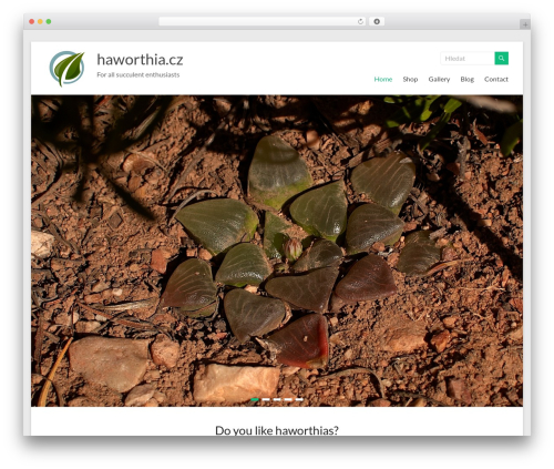 Abcfolio responsive grid gallery custom links pro WordPress plugin - haworthia.cz